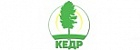 Кедр Кедр